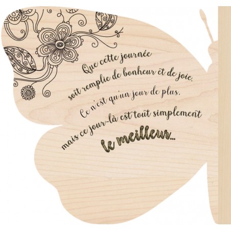 Papillon 3D